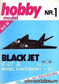 F-117A Black Jet